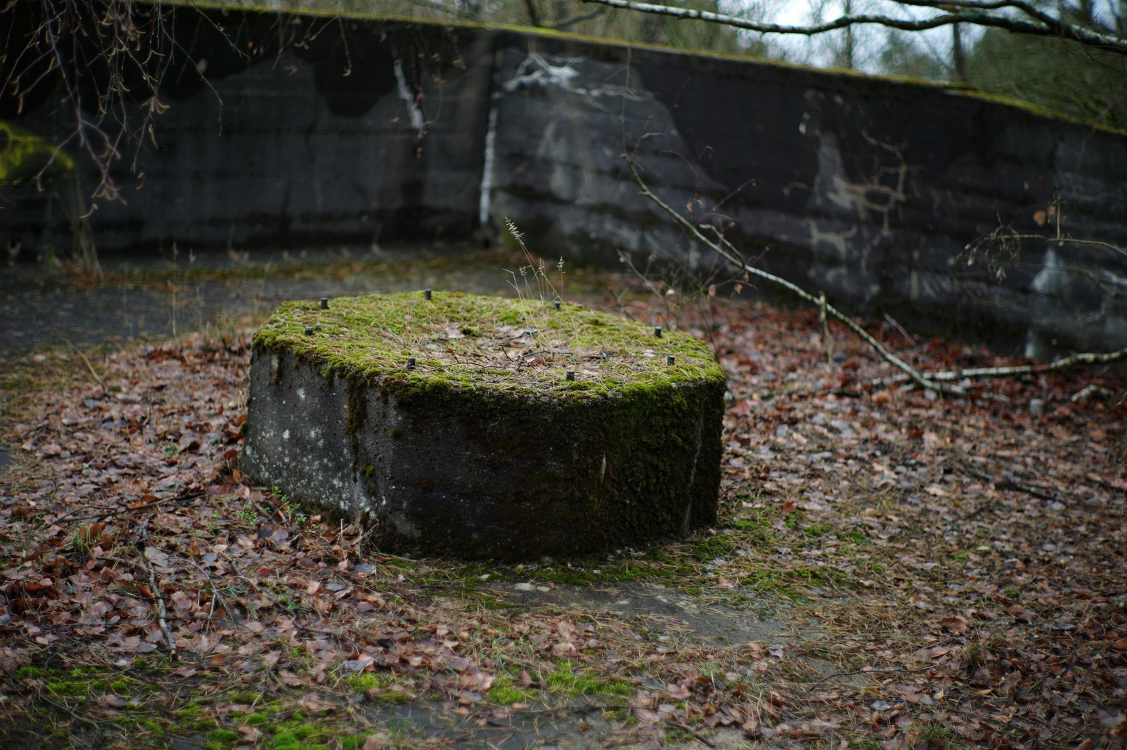 Old Bunker