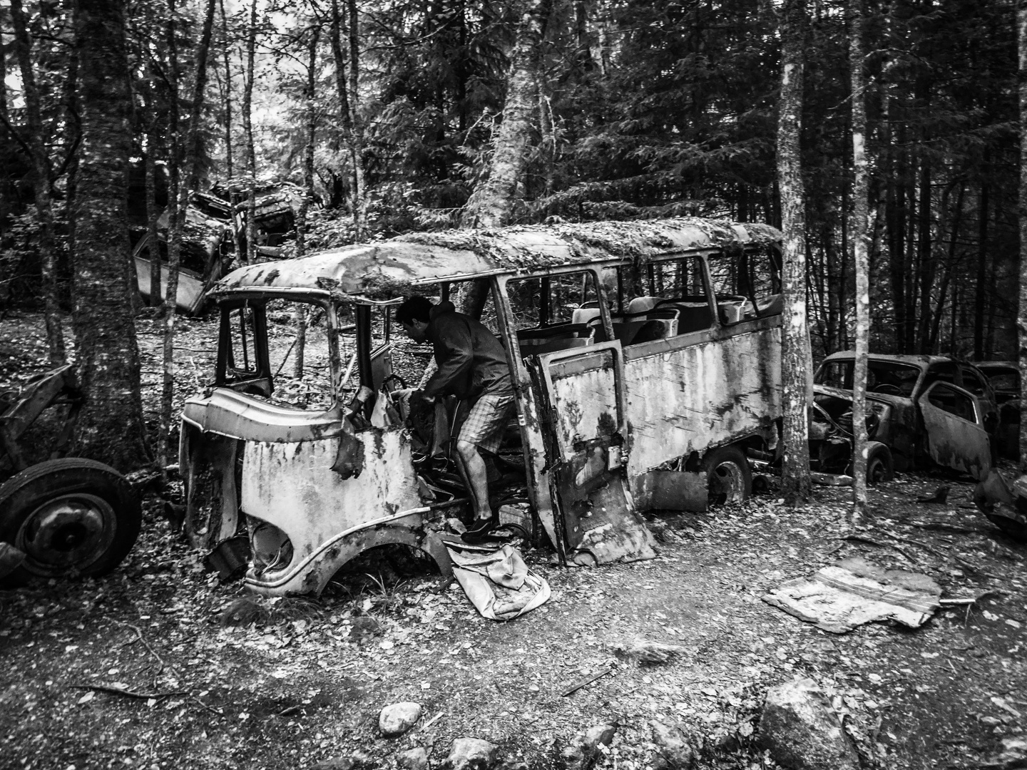 Old bus 