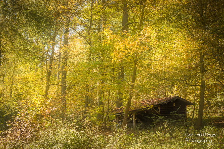 Old Cabin