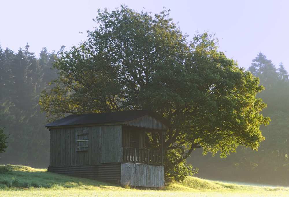 Old Cabin