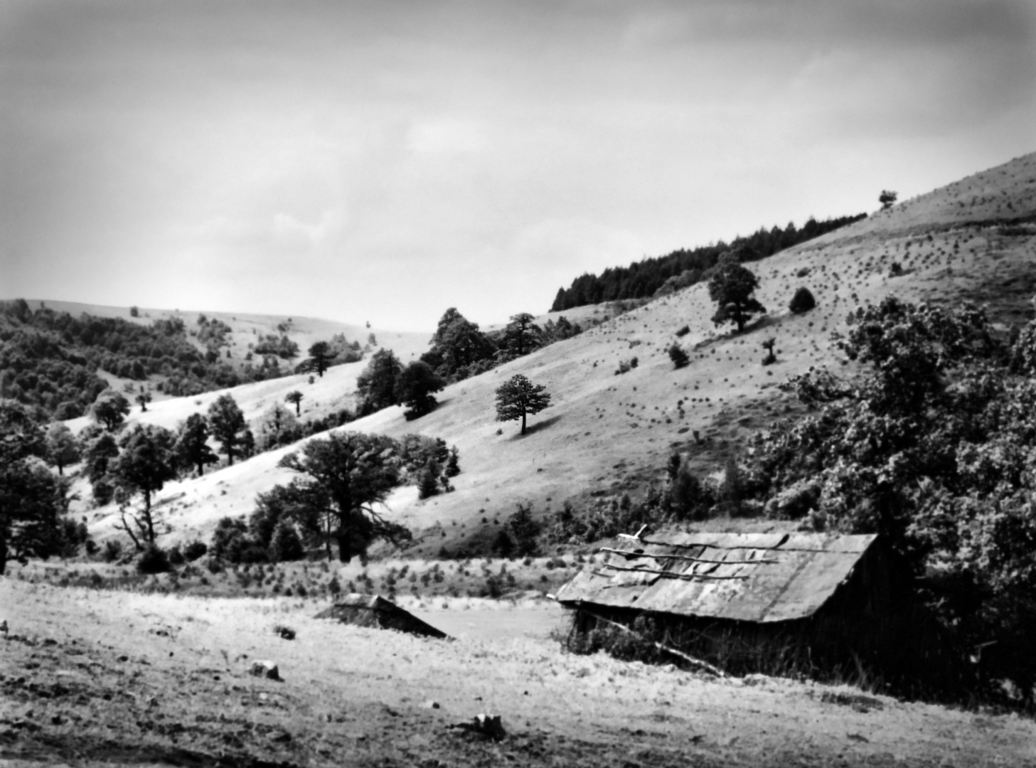 Old cabin