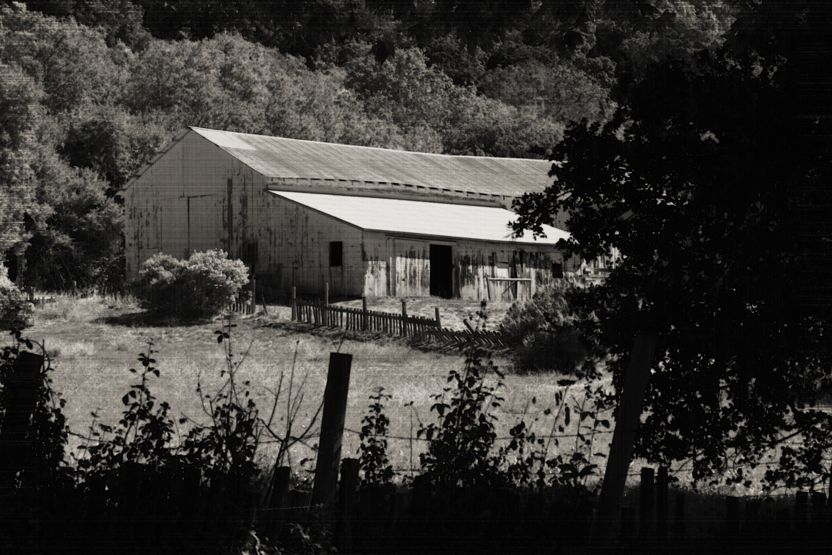 Old California Coastal Barn