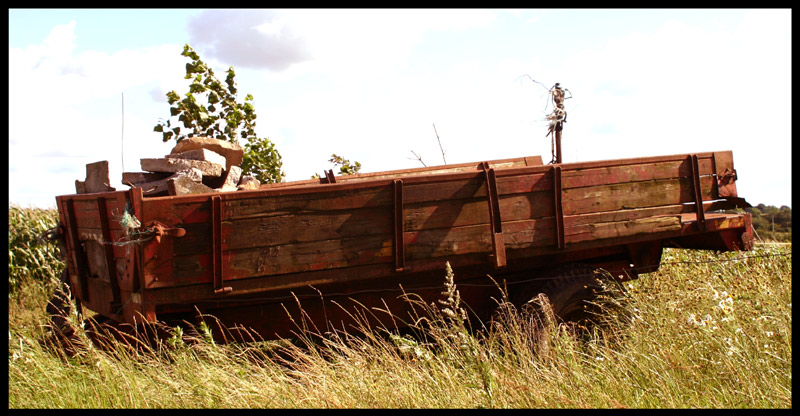 old cart on a field