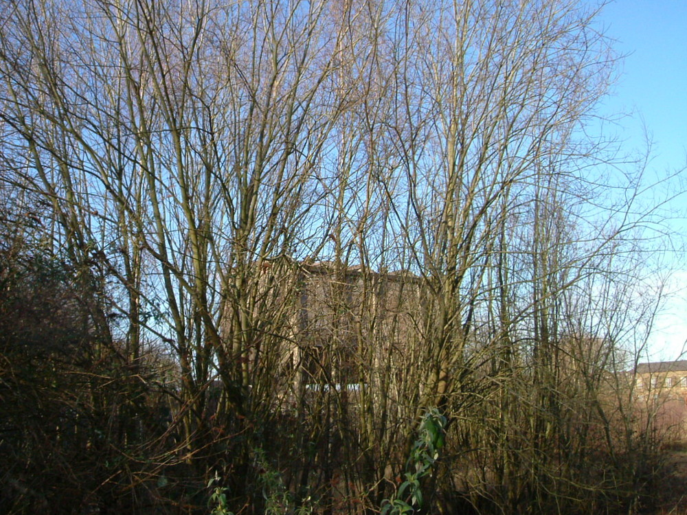 old coal bunker