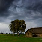 Old cottage in Culloden Battlefield