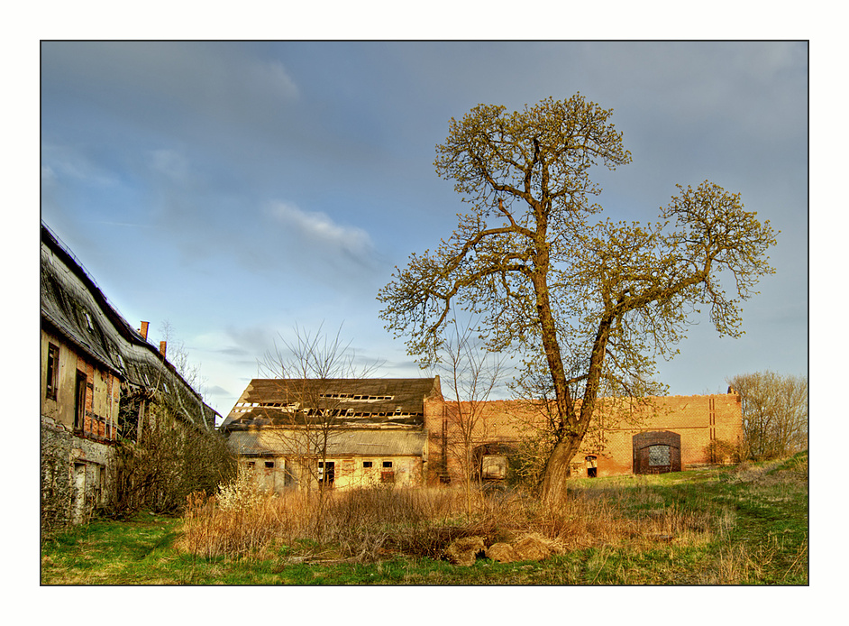 Old decaying manor