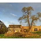 Old decaying manor