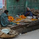 Old Dehli (1)