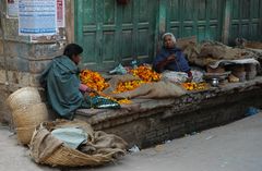 Old Dehli (1)