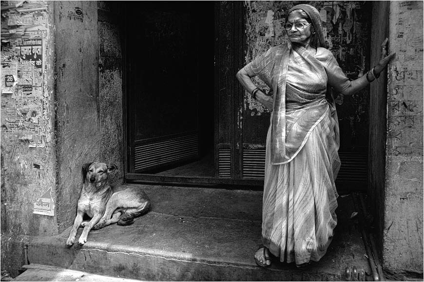 OLD DELHI #3 - Memsahib Sharma und ihr treuer Hund Nehru