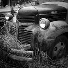 Old Dodge Truck