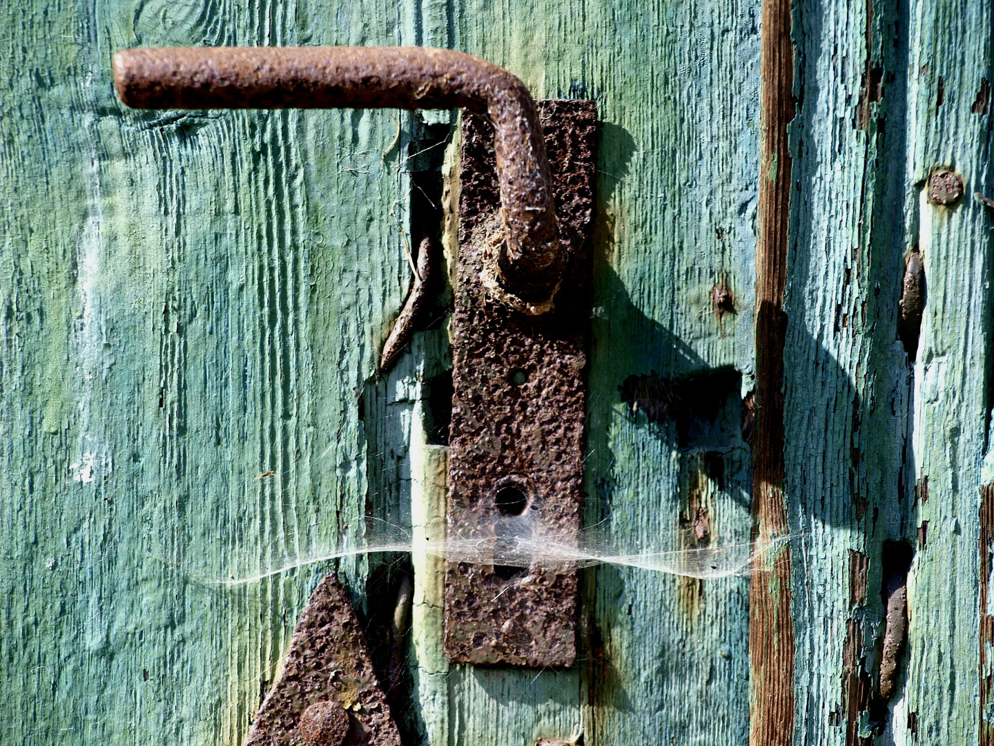 old door