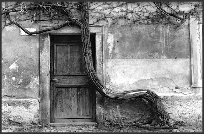 Old Door In Prague