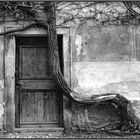 Old Door In Prague
