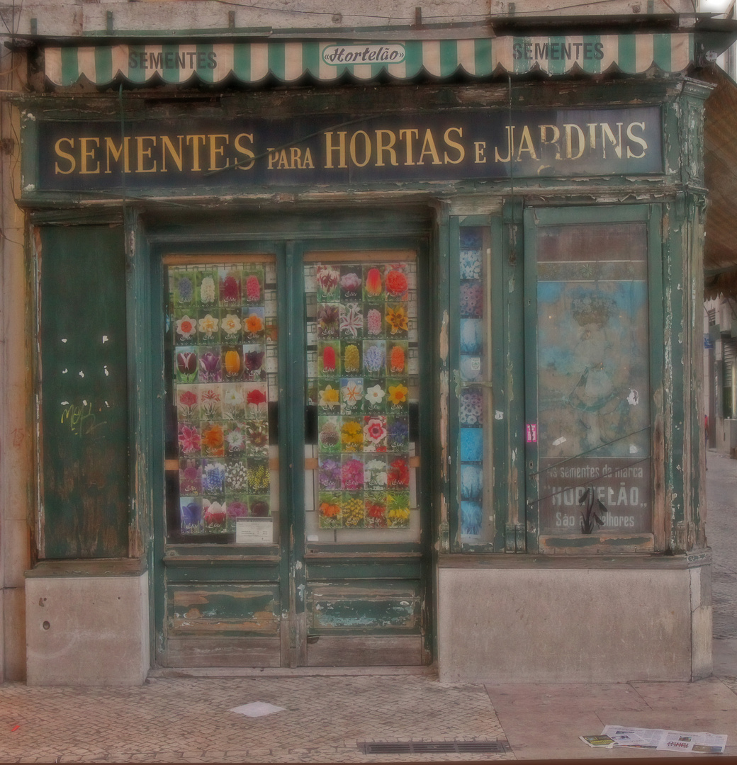 Old Doors in Lissabon