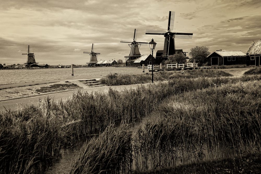 Old Dutch Countryside