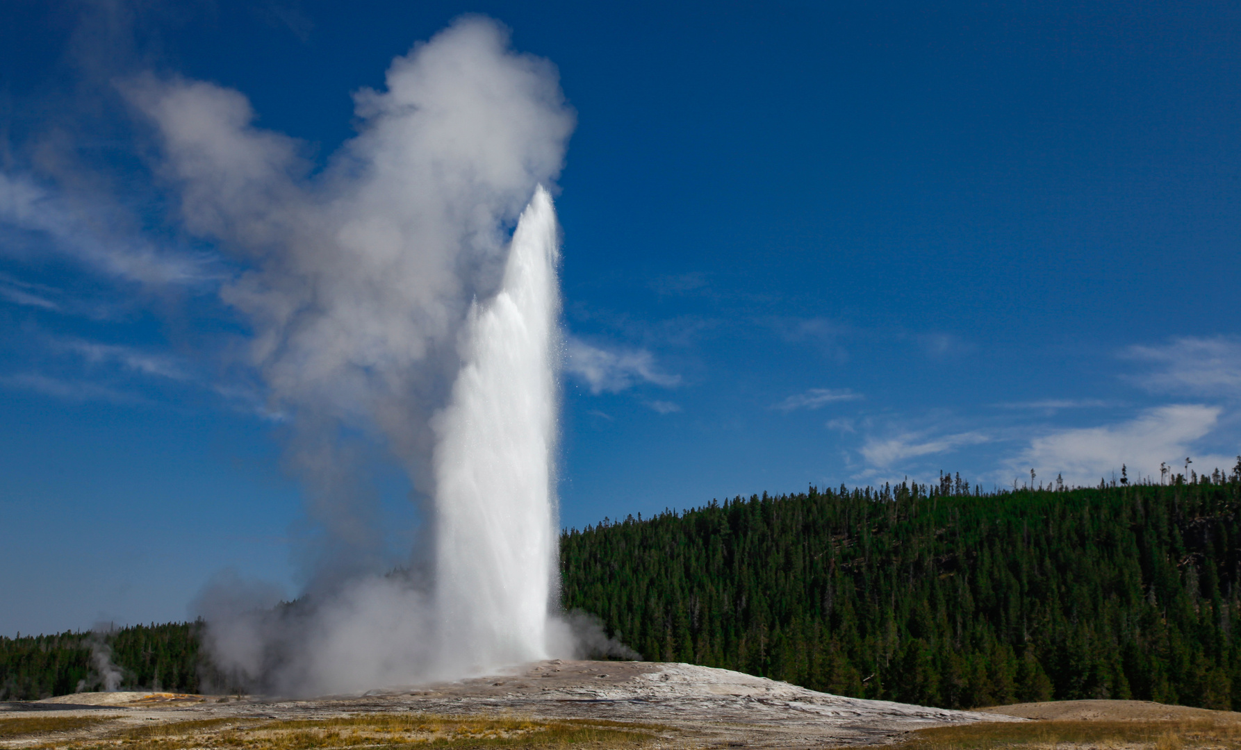 Old Faithful