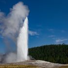 Old Faithful