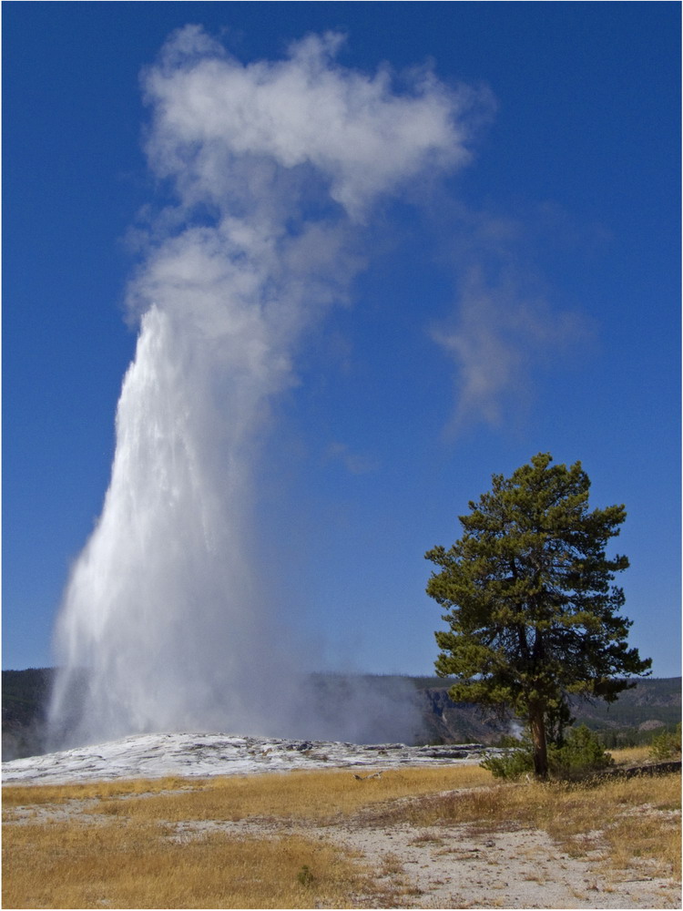 Old Faithful at work