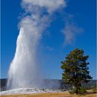 Old Faithful at work