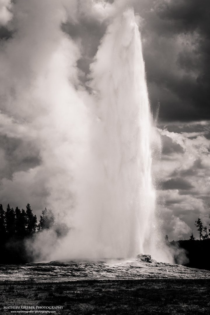 Old Faithful - big and strong
