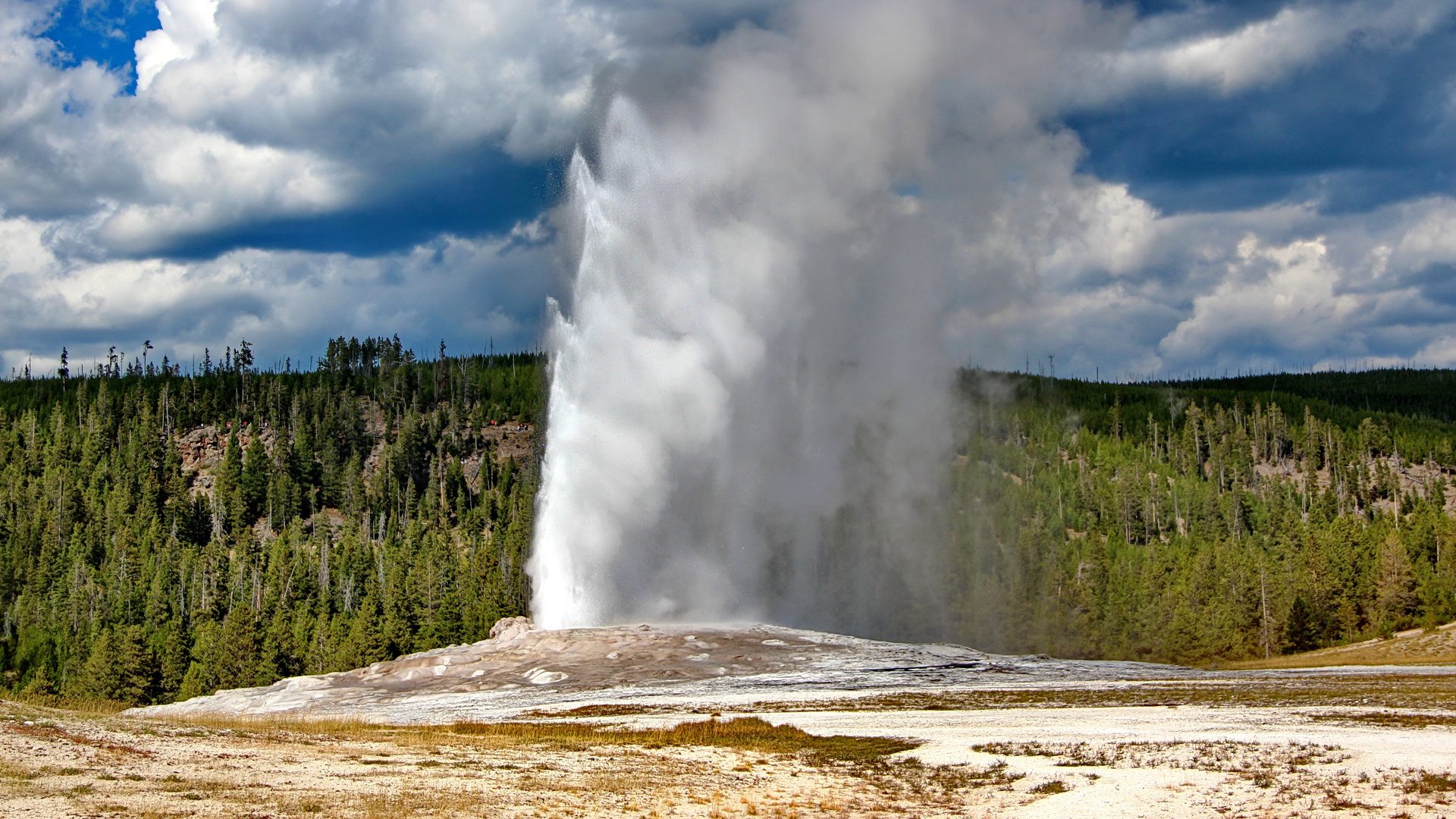 Old Faithful