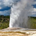 Old Faithful