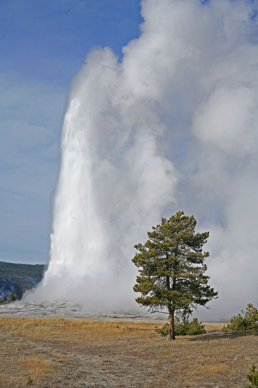 Old Faithful