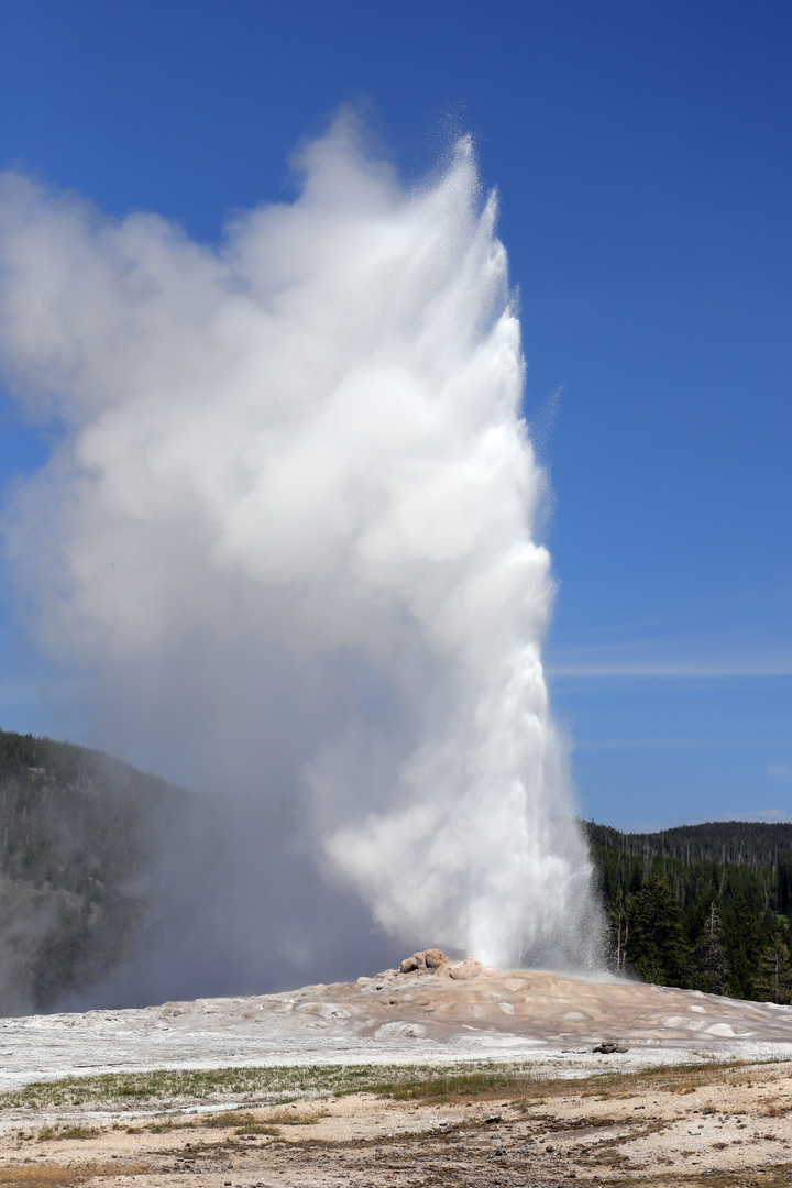 Old Faithful