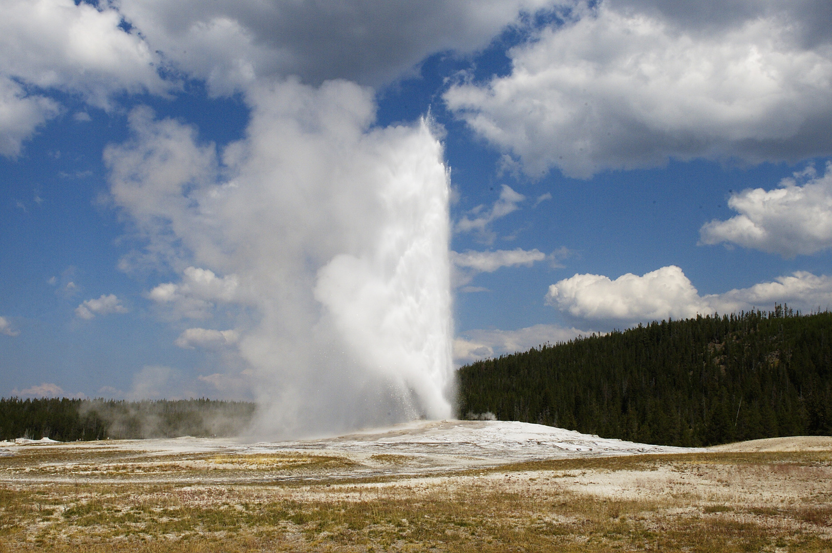 Old Faithful Geyser