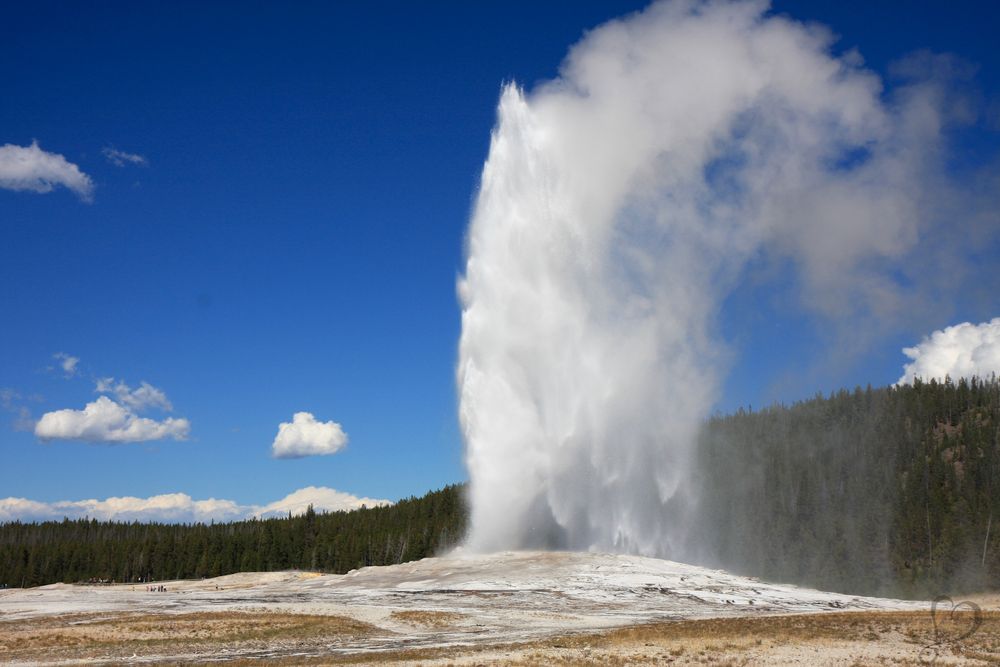 Old Faithful Geyser