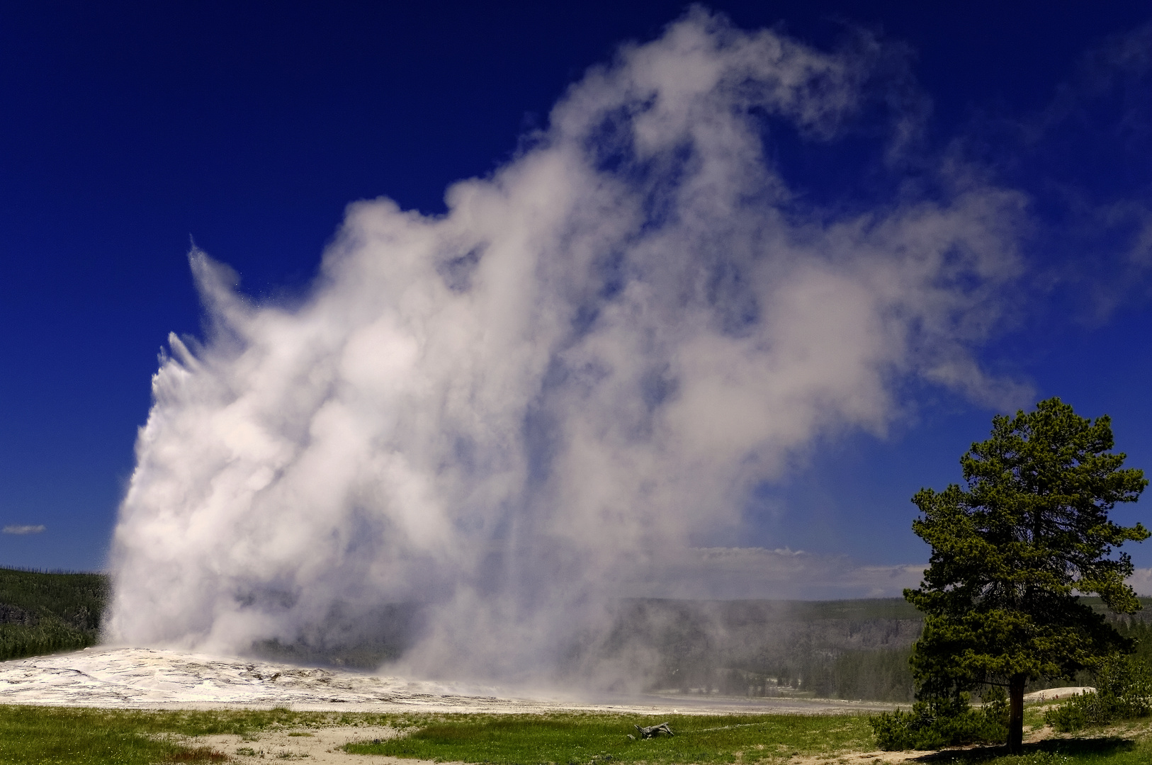 Old Faithful Geyser im Yellowstone Nationalpark