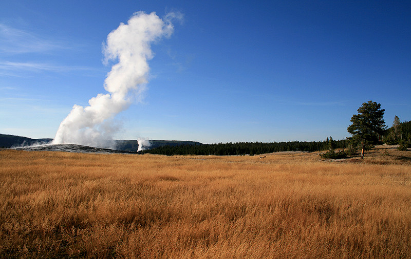 Old Faithful im Yellowstone