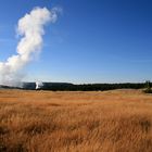 Old Faithful im Yellowstone