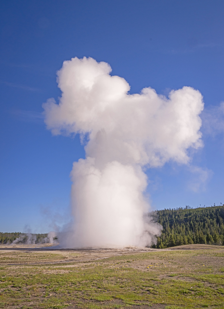 Old Faithful (inspired by Walt Disney)