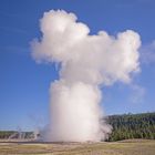 Old Faithful (inspired by Walt Disney)