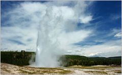 Old Faithful, Yellowstone NP