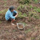 Old Farmer in China