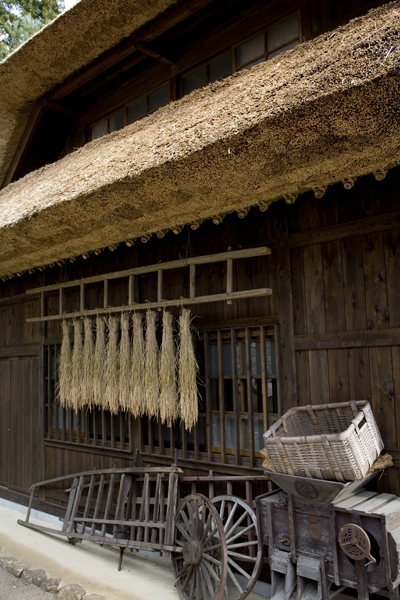 Old farmer's house