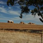 Old Farmhouse