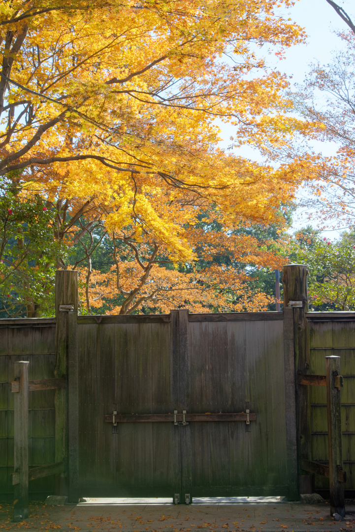 Old-fashioned gate