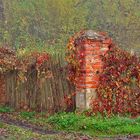 Old fence