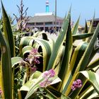 Old Fisherman's Wharf in Monterey