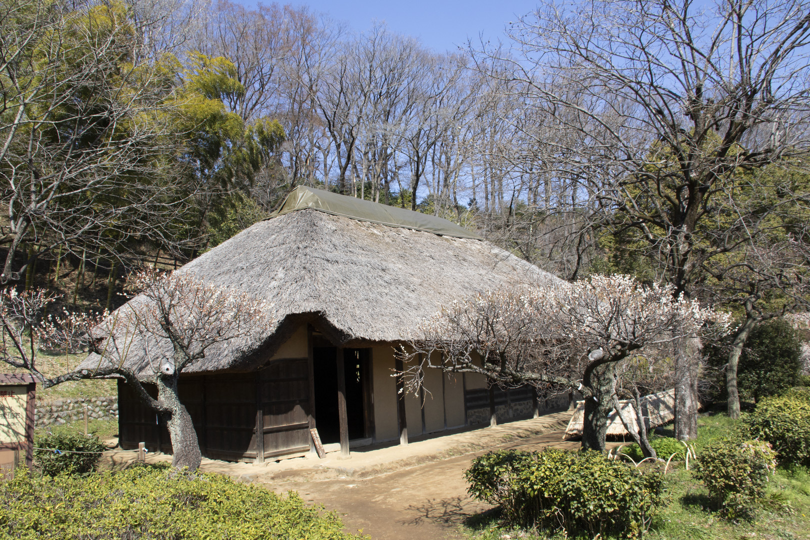 Old folk house