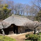 Old folk house