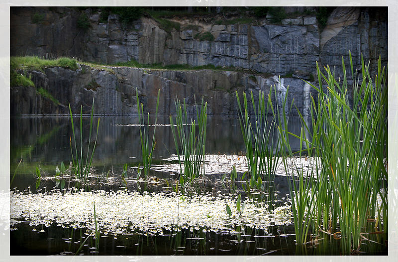 Old granite quarry