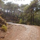 Old Greek Road in Turkey