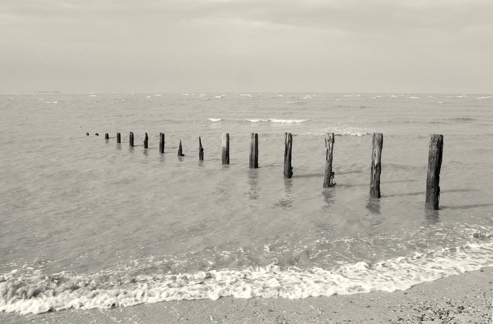 Old Groynes at Seasalter 02