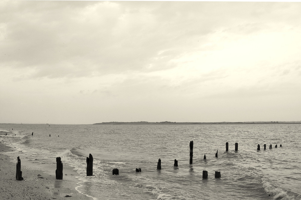 Old Groynes at Seasalter