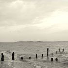 Old Groynes at Seasalter